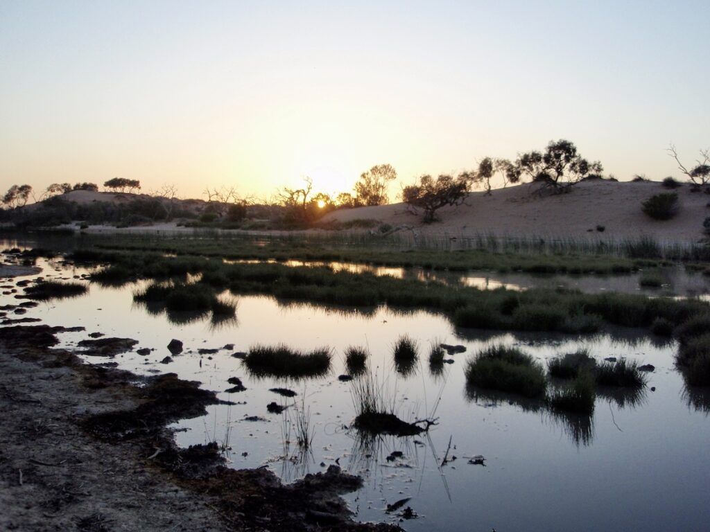 Mungerannie Waterhole in 2007 at sunrise. Birdsville Track, South Australia.