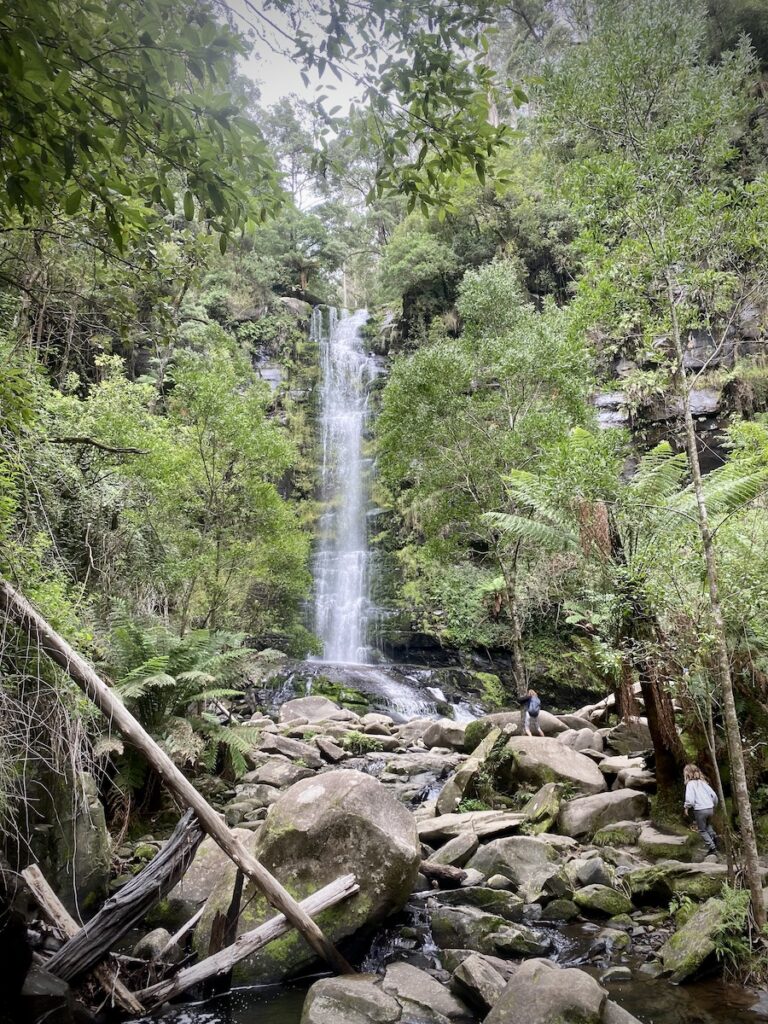 Erskine Falls near Lorne. Great Otway National Park, Victoria.