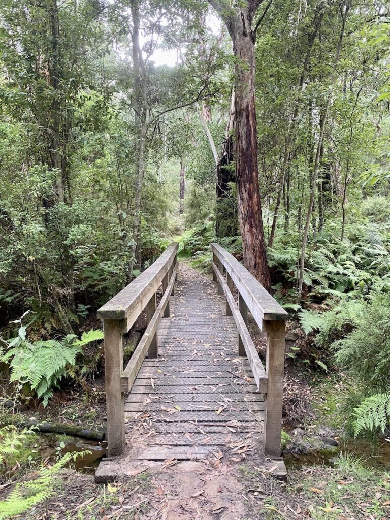 A foot bridge crossing Moggs Creek, Great Otway National Park, Victoria.