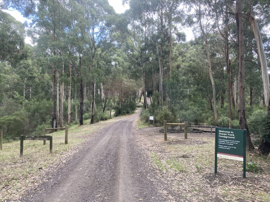 Sharps Track Campground, just west of Lorne on the Great Ocean Road, Victoria.