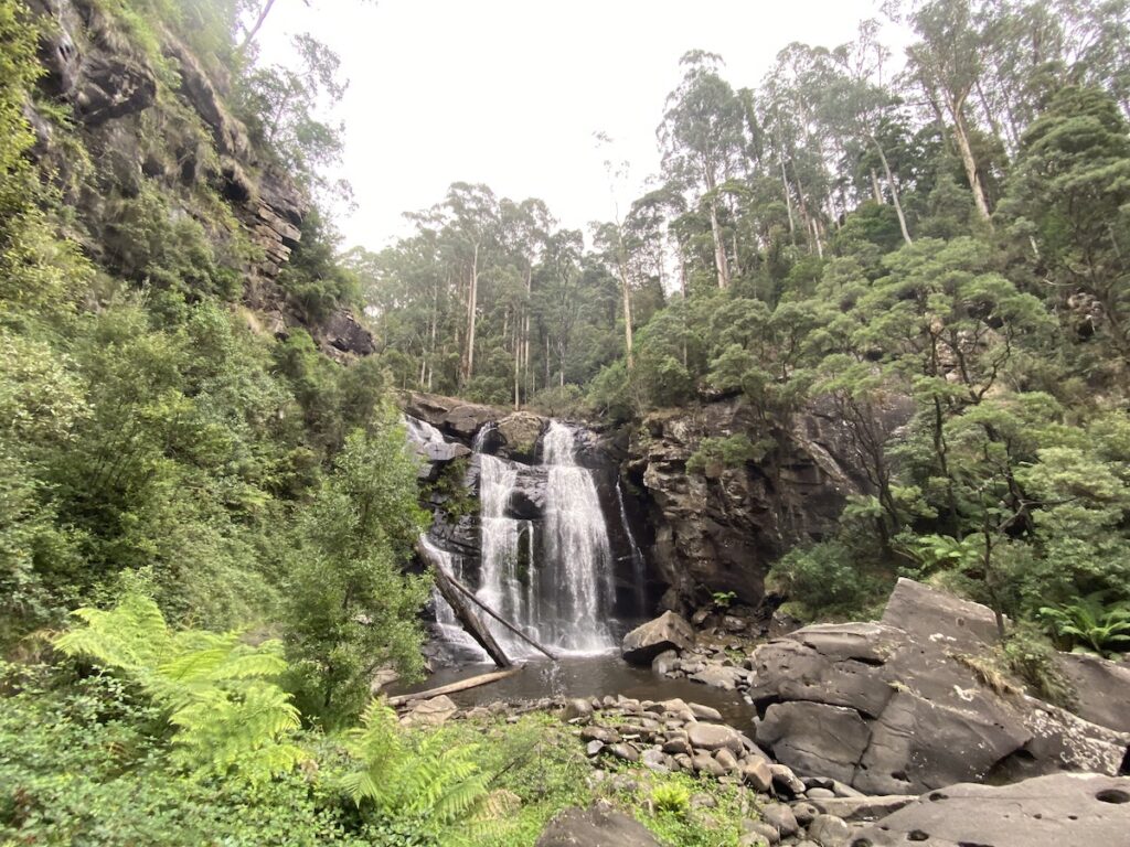 Stevensons Fall, Great Otway National Park, Victoria.