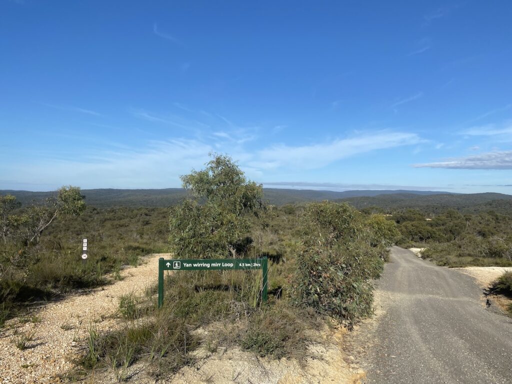 The Yan Wirring Mirr Loop walking track, just west of Anglesea Victoria.