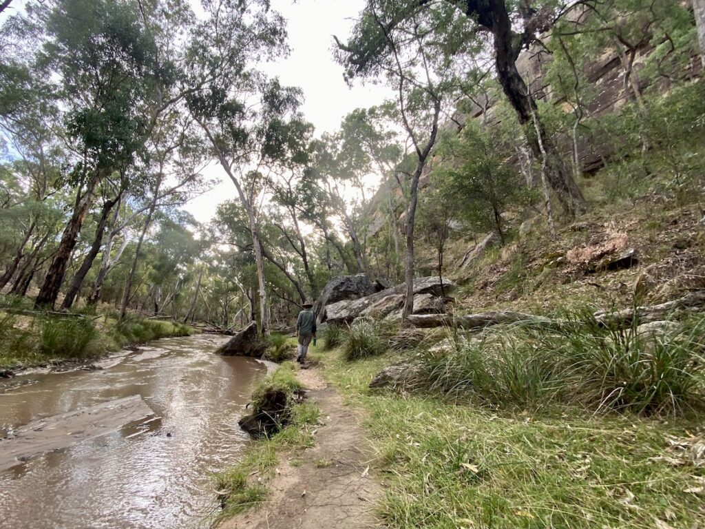 Dandry Creek in Dandry Gorge with sandstone cliffs. Sculptures In The Scrub, Pilliga Forest NSW.