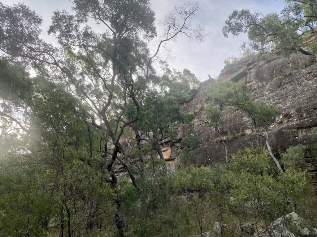 Dhayaanduul Waanda (First Lesson) taken from below in Dandry Gorge. Sculptures In The Scrub, Pilliga Forest NSW.