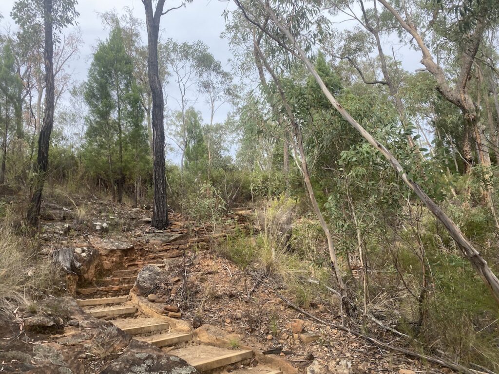 Sculptures In The Scrub walking trail, Pilliga Forest NSW. A few stairs and steep pinches.