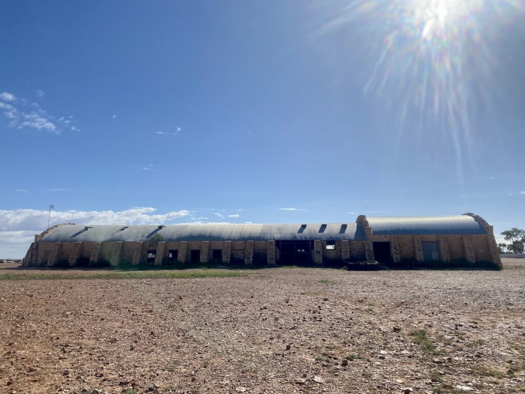 Cordillo Downs woolshed from the side.