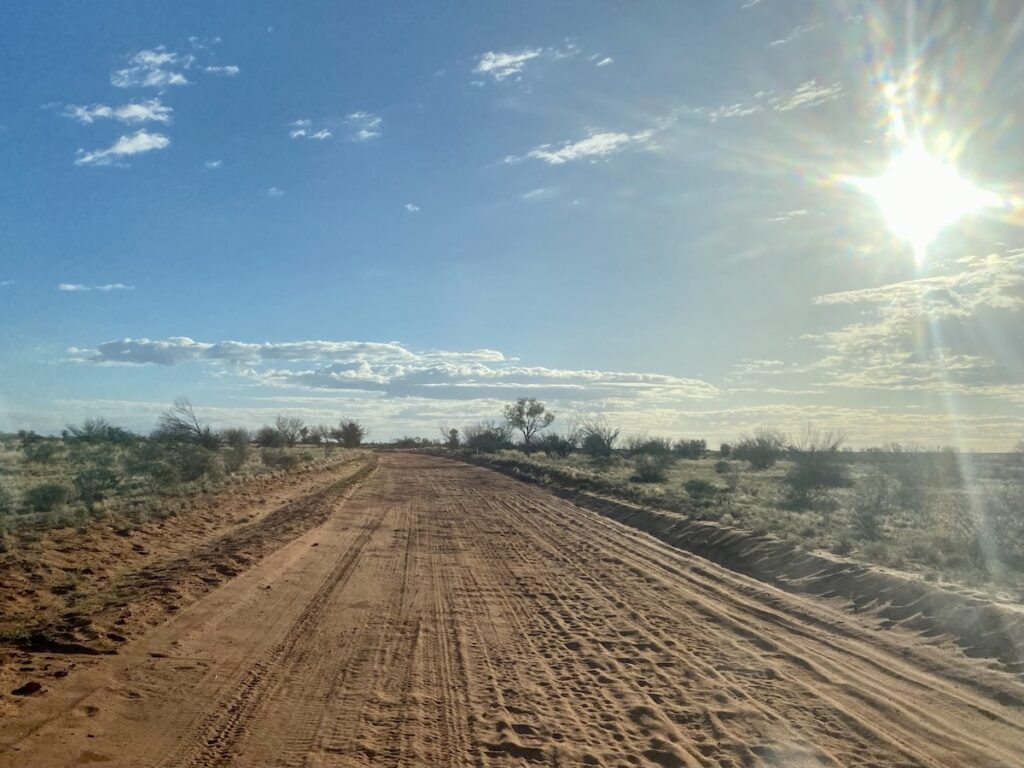 Large corrugations in the sand on Cordillo Downs Road.