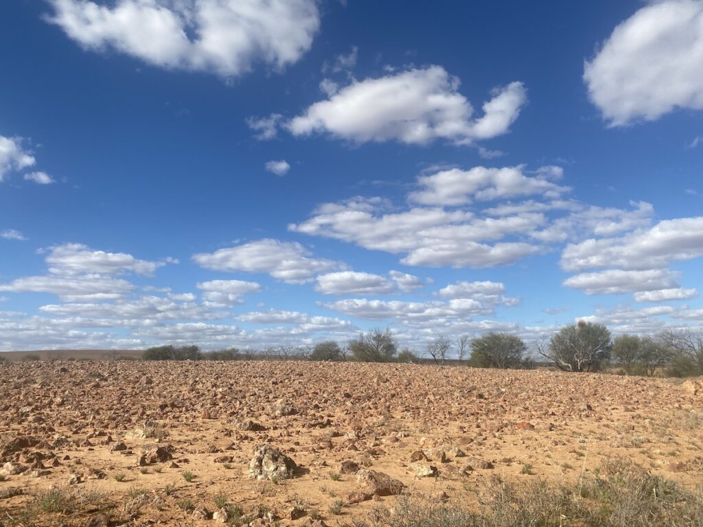 Gibbers on Cordillo Downs Road, Innamincka Regional Reserve.