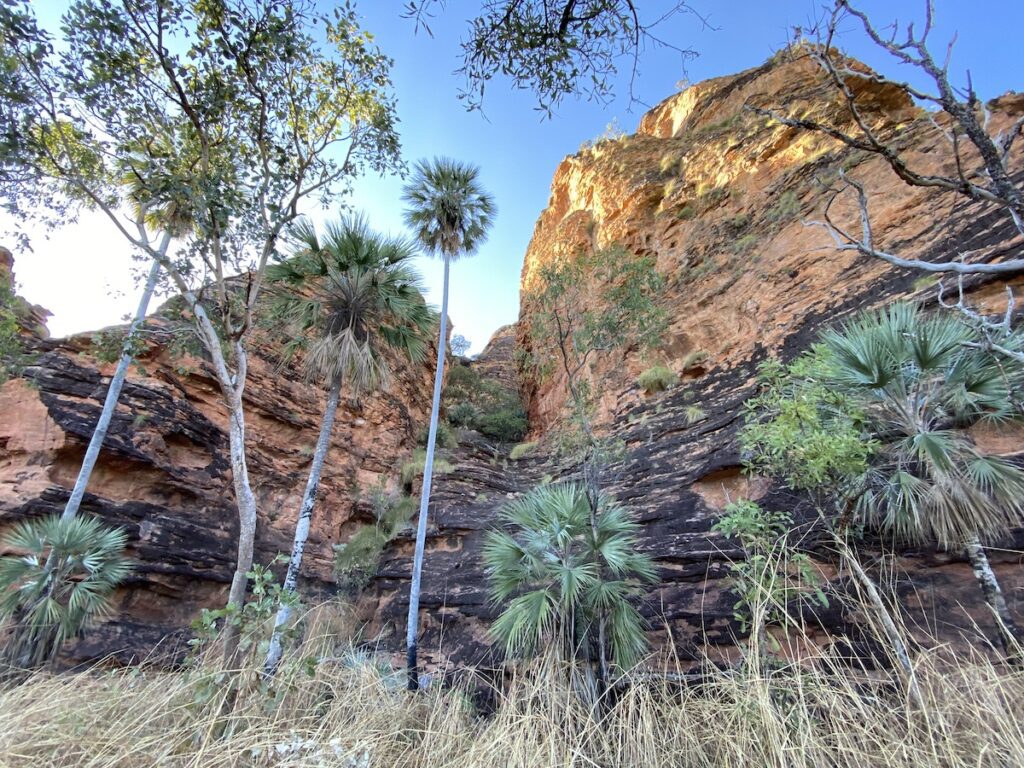 Huge beehive sandstone cliffs on Jarnem Loop Walk at Keep River National Park.