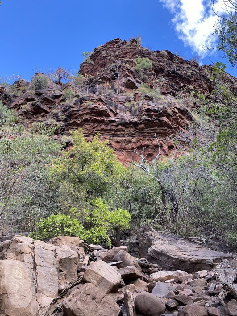 Towering sandstone cliffs on Jenemoom Walk, Keep River National Park.