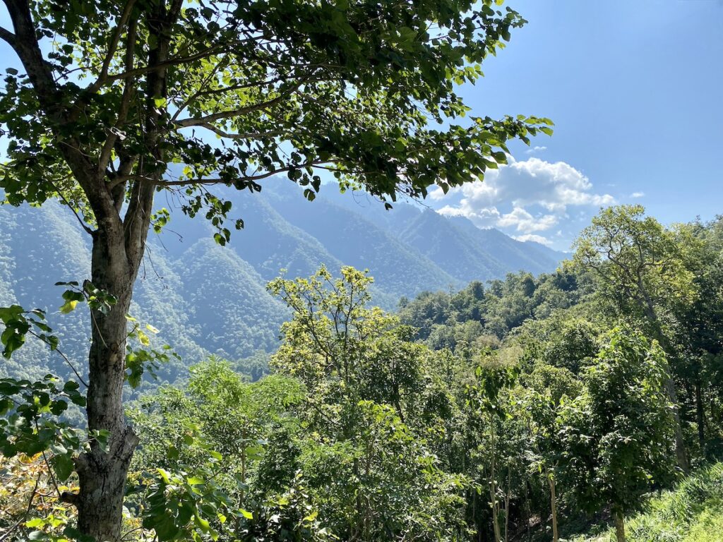 Jungle country in Thailand. Steep mountains with jungle in foreground.