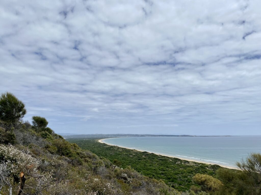 View of Bakers Beach looking west, Narawntapu National Park Tasmania.