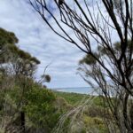 View of Bakers Beach through the trees, Narawntapu National Park Tasmania.