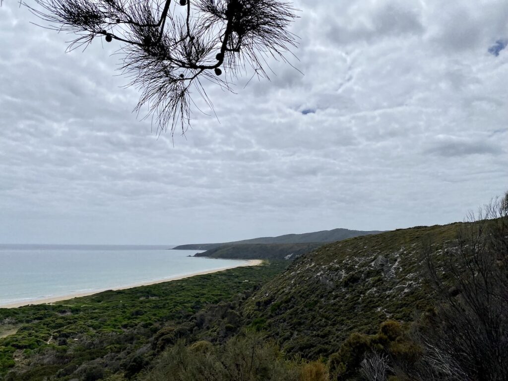 Loking east along the coast towards Badger Head from Archers Knob, Narawntapu National Park Tasmania.